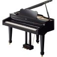 Roland RG-3-PE inkl. Pianobank aus Demo Thumbnail 1
