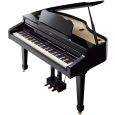 Roland RG-3-PE inkl. Pianobank aus Demo Thumbnail 2