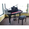 Roland RG-3-PE inkl. Pianobank aus Demo Thumbnail 3