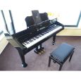 Roland RG-3-PE inkl. Pianobank aus Demo Thumbnail 4