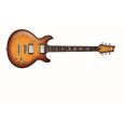 LAG Roxane 1000 Flamed Tobacco Sunburst Thumbnail 1