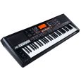 Roland EXR 46 OR Arranger Keyboard Oriental Thumbnail 2
