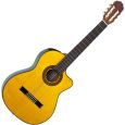 Takamine EG522SC Thumbnail 1