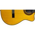 Takamine EG522SC Thumbnail 3