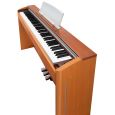 Casio Privia PX-800 Thumbnail 4