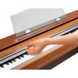 Casio Privia PX-800 Thumbnail 8