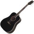 Washburn D10 S-BK Thumbnail 1