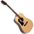 Washburn D10 S-N LH Thumbnail 1