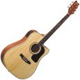 Washburn D10 SCE-N  Westerngitarre Thumbnail 1