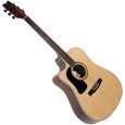 Washburn D10 SCELH-N Thumbnail 1