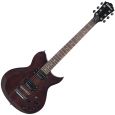 Washburn WI200PRO TBK Thumbnail 1