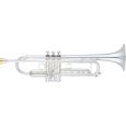Yamaha YTR-8335 RGS Xeno Trompete Thumbnail 1