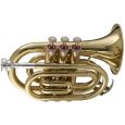 KORN TT-1 Bb Taschentrompete Gold mit Koffer Thumbnail 1