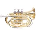 KORN TT-1 Bb Taschentrompete Gold mit Koffer Thumbnail 2