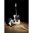 Fender Jim Root Telecaster Flat White Thumbnail 3