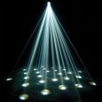 American DJ Pearl LED DMX white 177055 Thumbnail 2