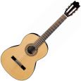 Ibanez G100-NT Thumbnail 1