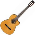 Ibanez G5ECE-AM Konzertgitarre Thumbnail 1