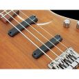 Ibanez EDB 555 WNF E-Bass Thumbnail 3