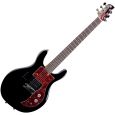 Ampeg AMG 100 BK Thumbnail 1