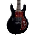 Ampeg AMG 100 BK Thumbnail 2
