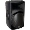 Mackie SRM 450 V2 Black Thumbnail 1