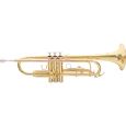 Roy Benson TR-101 Bb-Jazz-Trompete Student Thumbnail 1