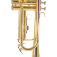 Roy Benson TR-101 Bb-Jazz-Trompete Student Thumbnail 2