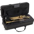 Roy Benson TR-101 Bb-Jazz-Trompete Student Thumbnail 12