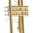 Roy Benson TR-101 Bb-Jazz-Trompete Student Thumbnail 5