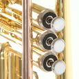 Roy Benson TR-101 Bb-Jazz-Trompete Student Thumbnail 6