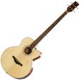 Höfner Akustikbass HA-B03 Thumbnail 1