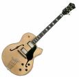 Höfner Thin President E2 Halbresonanz Gitarre Thumbnail 1