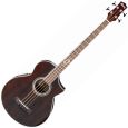 Ibanez EWB20WNE-NT Natural Akustik Bass Thumbnail 1