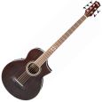 Ibanez EWB205WNE-NT Natural 5sait. Akustik Bass Thumbnail 1