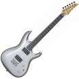 Ibanez JS1600 PSV Premium Silver E-Gitarre Thumbnail 1