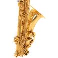 Roy Benson TS-202 Bb-Tenor Saxophon Student Thumbnail 3