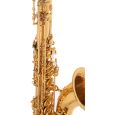 Roy Benson TS-202 Bb-Tenor Saxophon Student Thumbnail 4