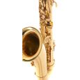 Roy Benson TS-302 Bb-Tenor-Saxophon Thumbnail 6