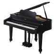 Roland RG-3M-PE Thumbnail 2