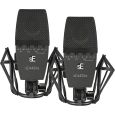 SE Electronics 4400A Stereo Thumbnail 1