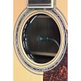 Fishman Ellipse Matrix Blend wide Thumbnail 2