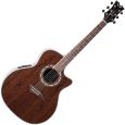 DEAN GUITARS Exotica Walnut Thumbnail 1