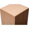 Klanginitiative Cajon PROfession Studio Serie Thumbnail 4