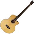 Tanglewood TAB1 CE - Evolution Series Akustikbass Thumbnail 1