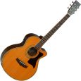 Tanglewood TW145 SC - Premier Series Westerngitarre Thumbnail 1