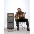 Marshall MRMG15MSZW Mikrostack Mikrostack Zakk Wylde, Top Thumbnail 2