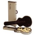Hagstrom C50 Koffer für F-Modelle F300, F200, XL2, XL5 Thumbnail 1
