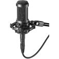 Audio Technica Studiomikrofon AT 2050 Thumbnail 1