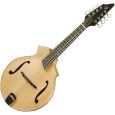 BREEDLOVE Quartz KF Mandoline Schertler PU Thumbnail 1